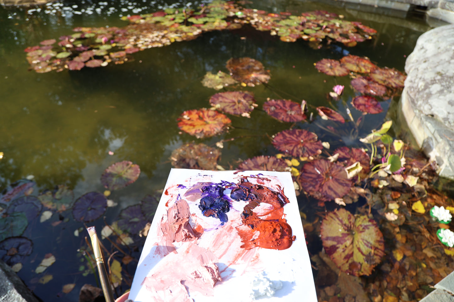 Lily pads: Original Oil Painting