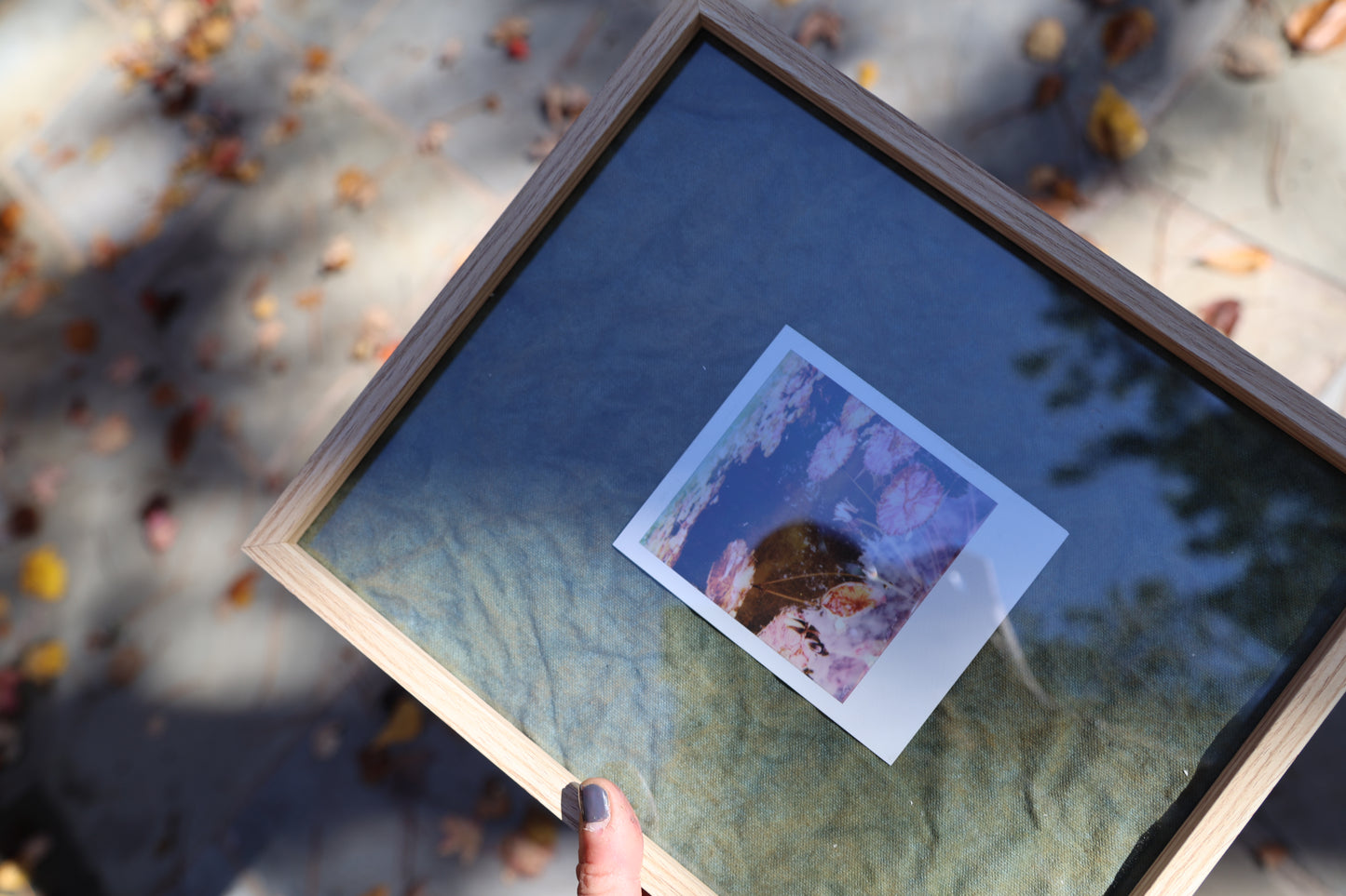 Polaroid in Raw Wood Frame: Lily Pads