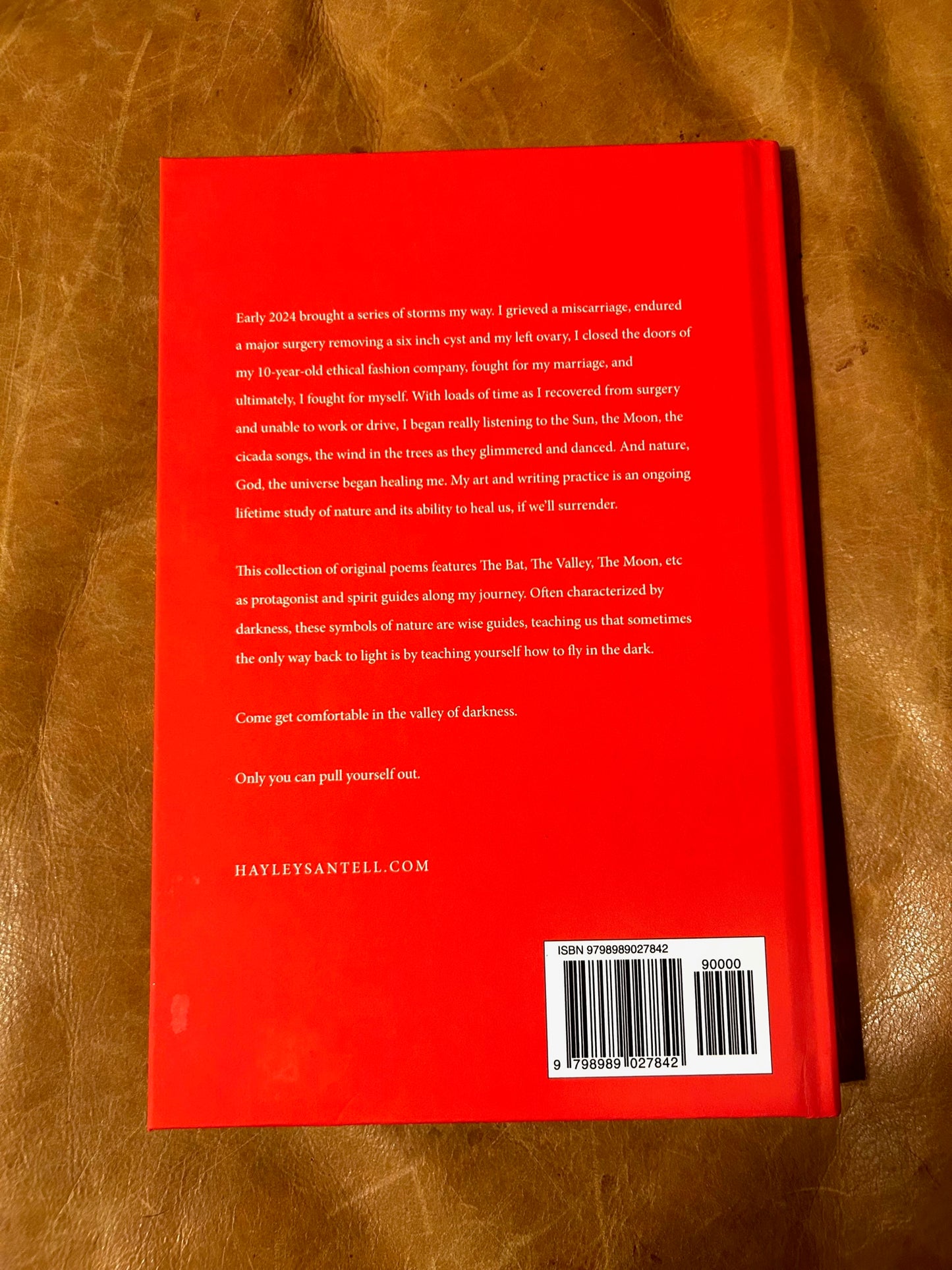 "Flying in the Dark" Poetry Book