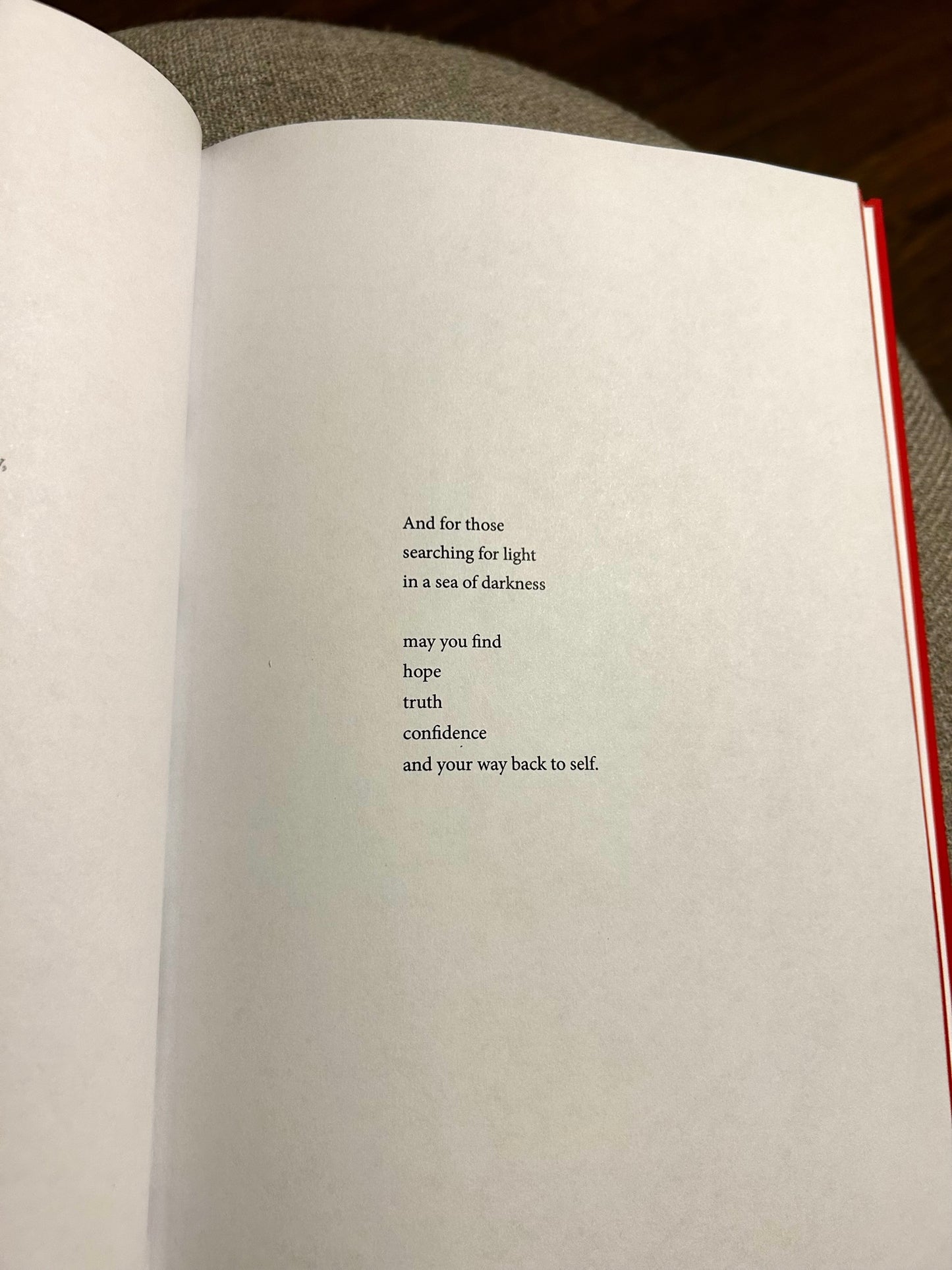 "Flying in the Dark" Poetry Book