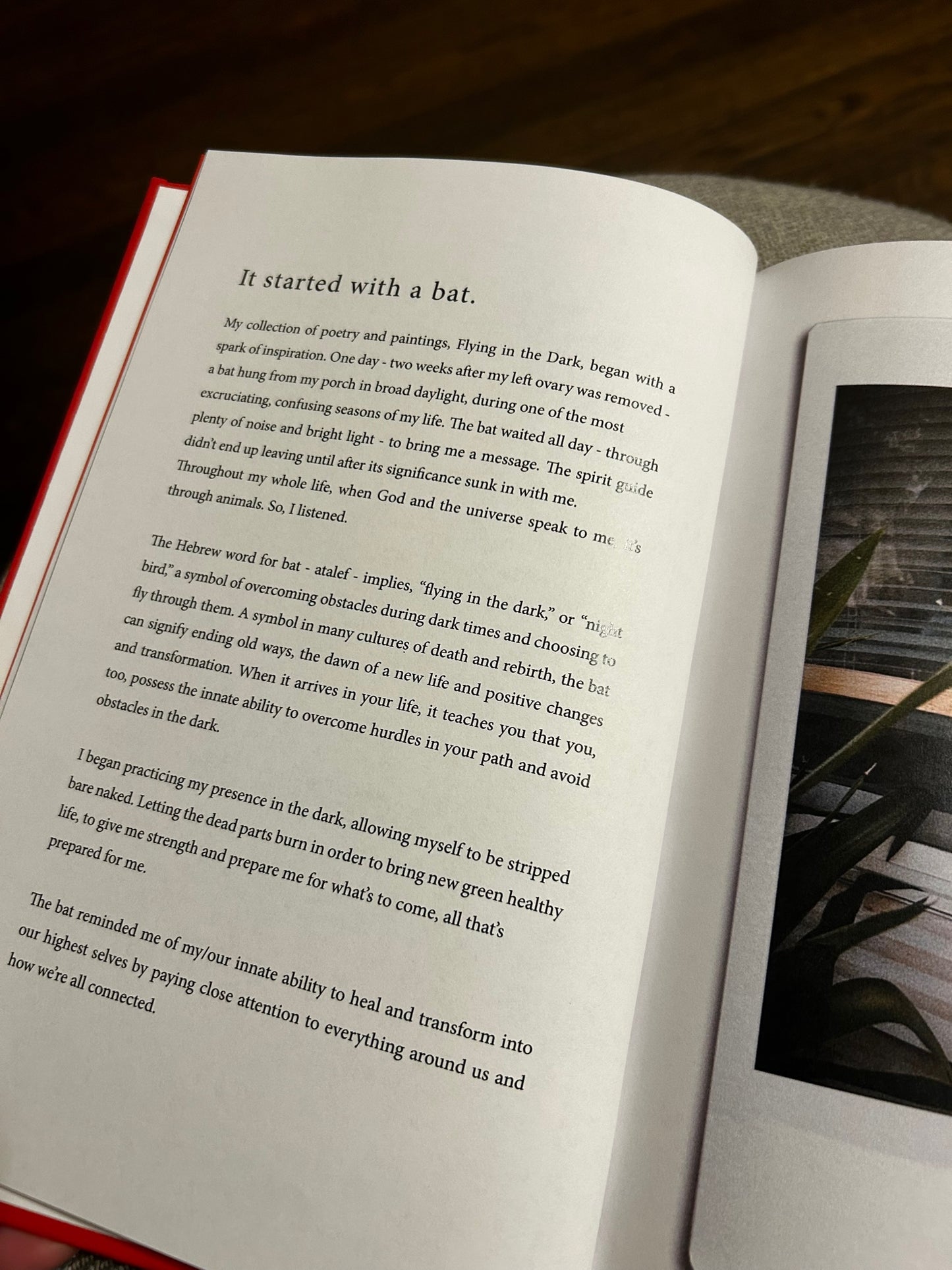 "Flying in the Dark" Poetry Book