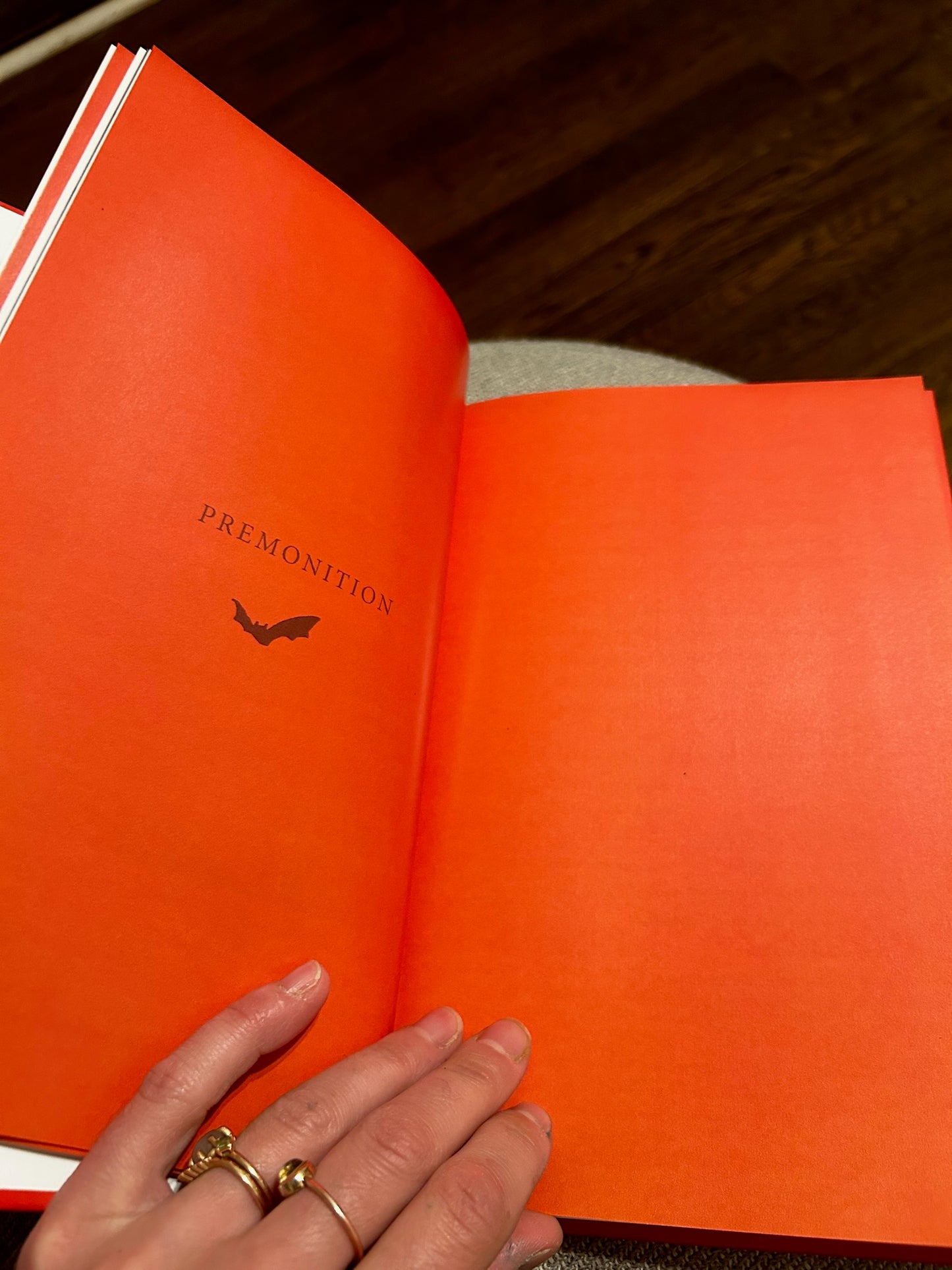 "Flying in the Dark" Poetry Book