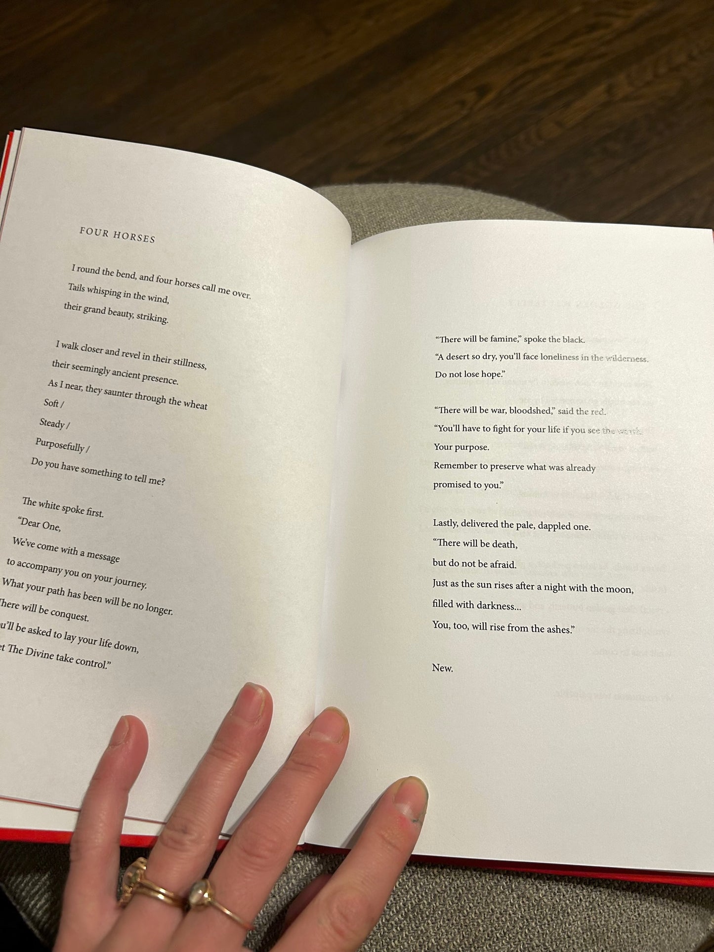 "Flying in the Dark" Poetry Book