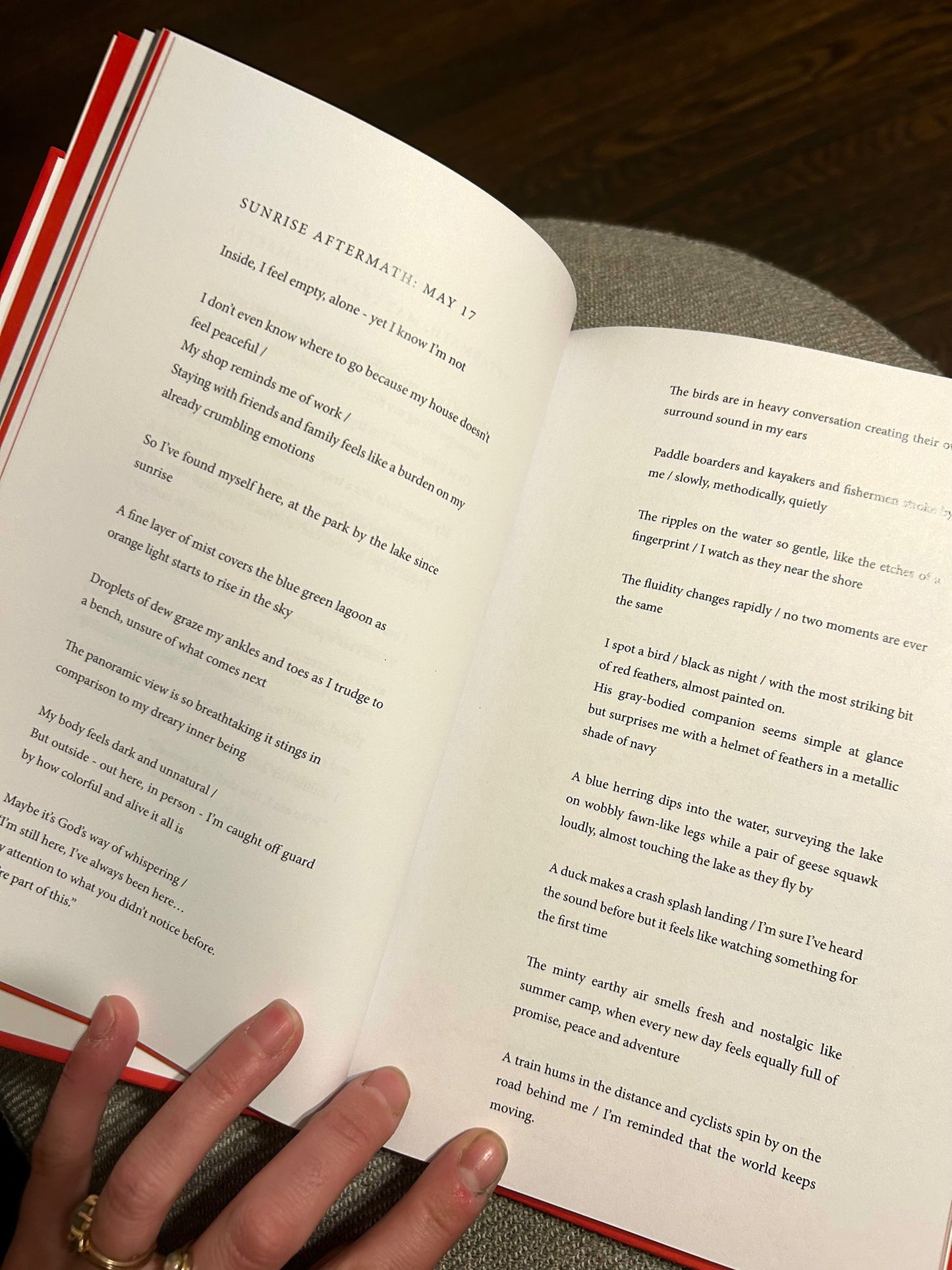 "Flying in the Dark" Poetry Book