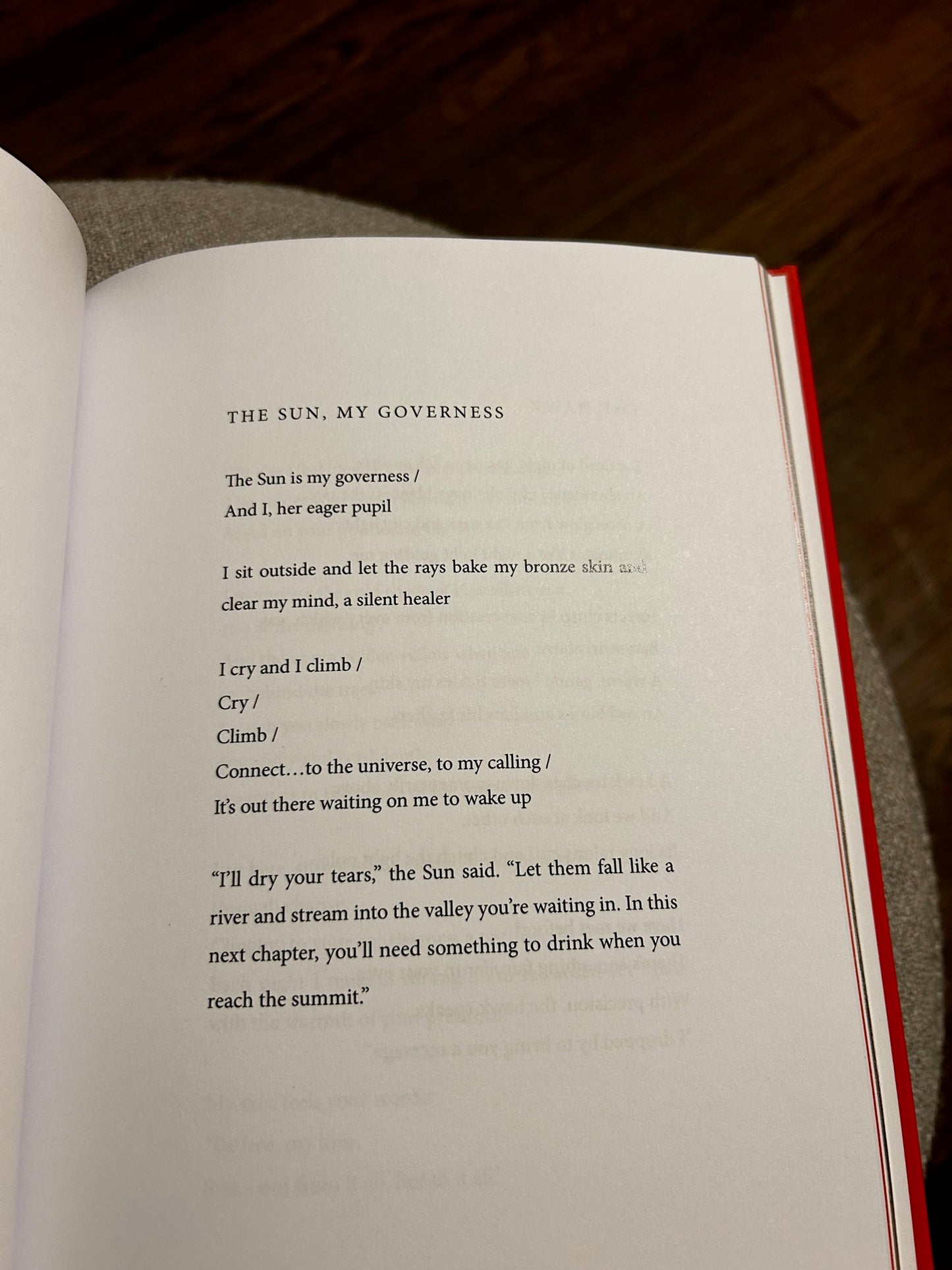 "Flying in the Dark" Poetry Book