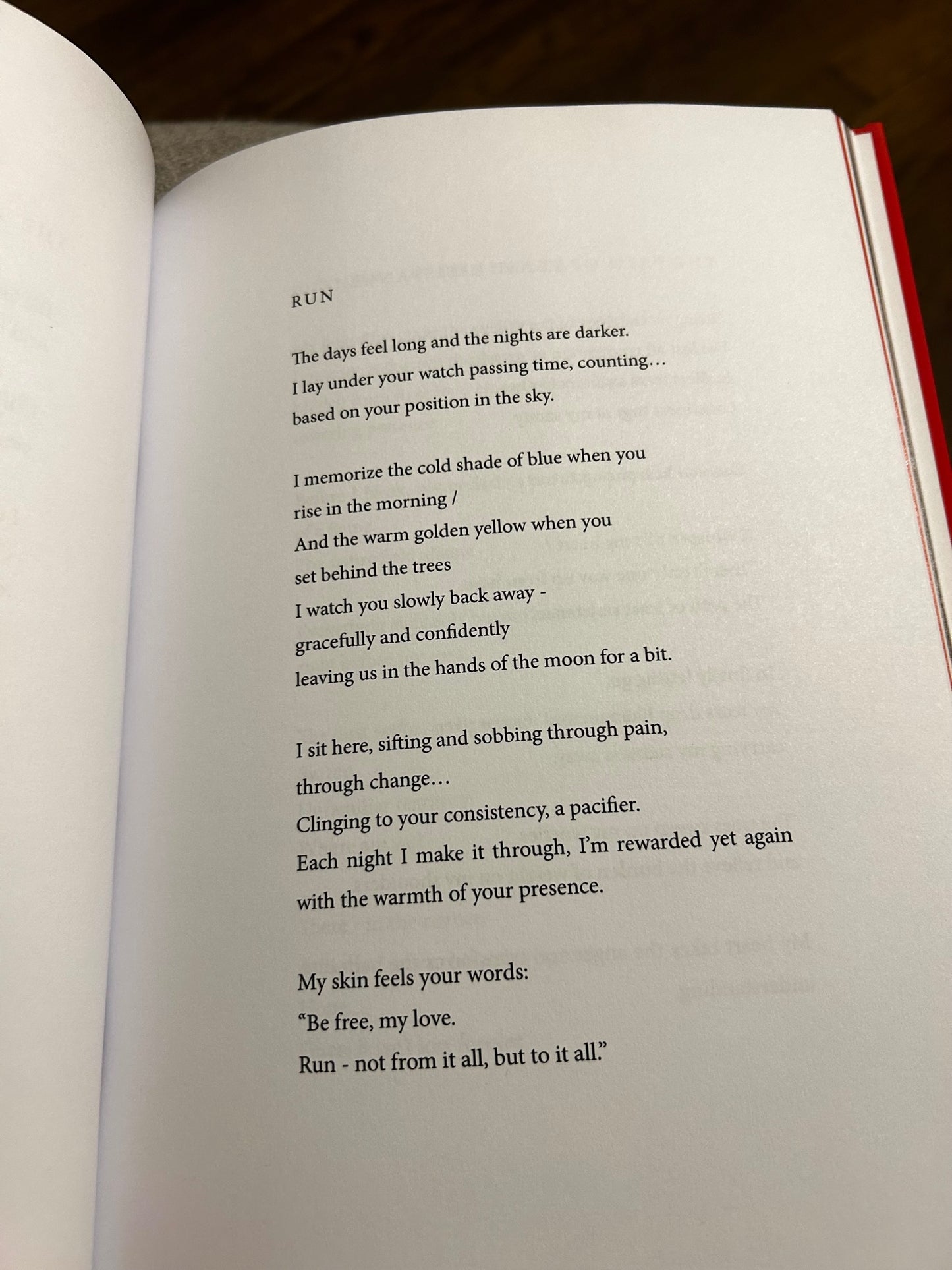 "Flying in the Dark" Poetry Book