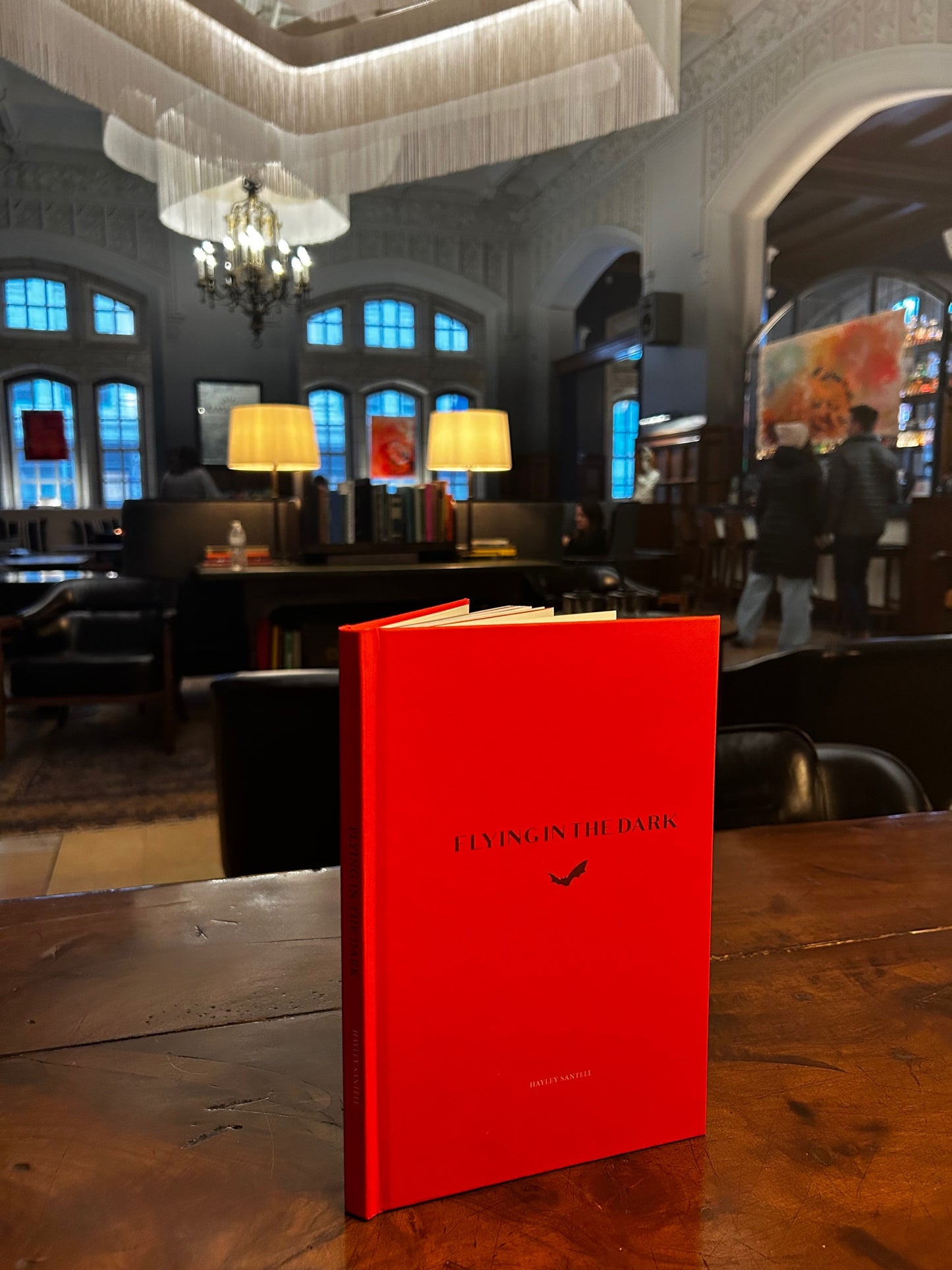 "Flying in the Dark" Poetry Book