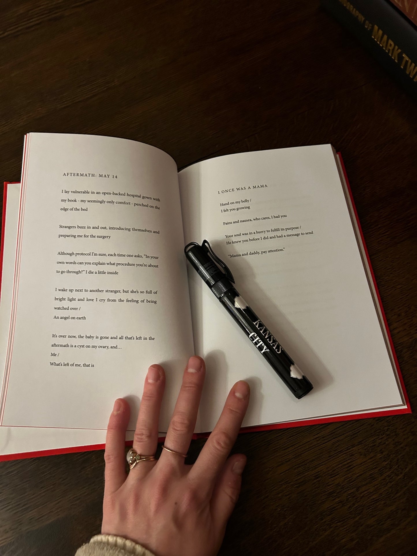 "Flying in the Dark" Poetry Book