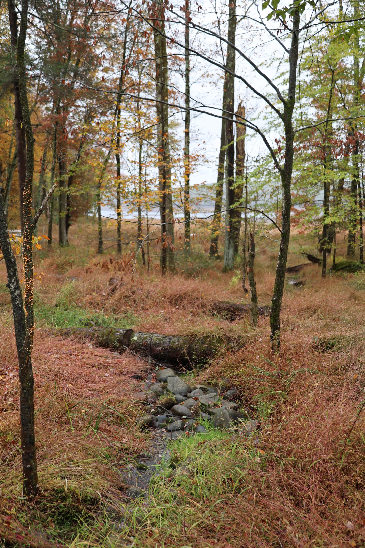 Running Stream: Original Oil Painting