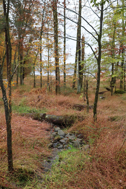 Running Stream: Original Oil Painting