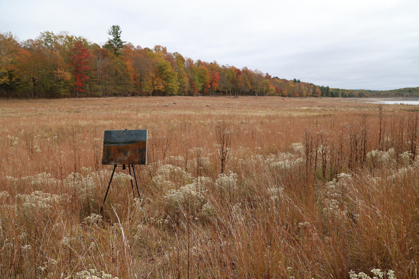 Golden Meadow: Original Oil Painting
