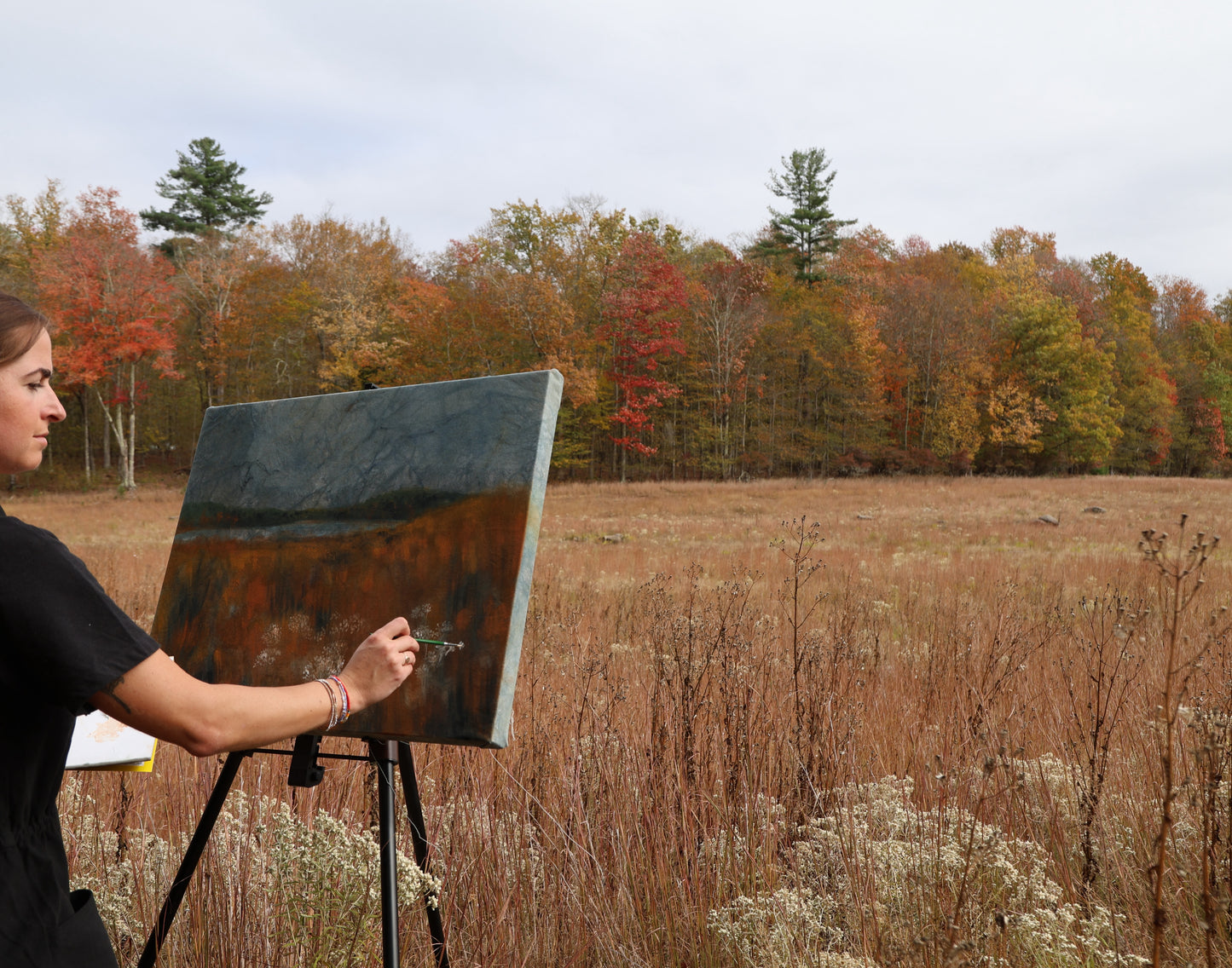 Golden Meadow: Original Oil Painting