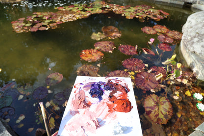 Lily pads: Original Oil Painting