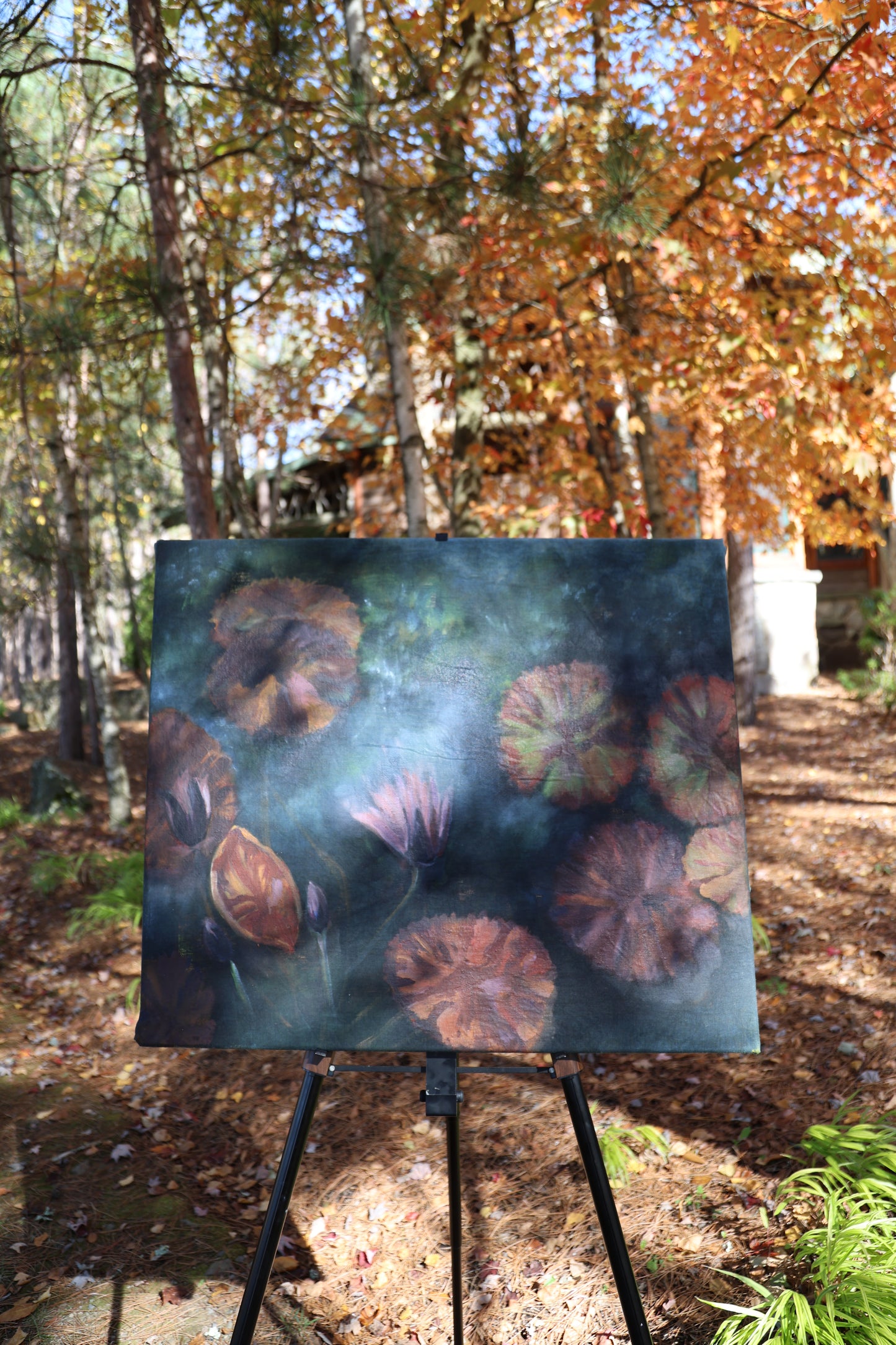 Lily pads: Original Oil Painting