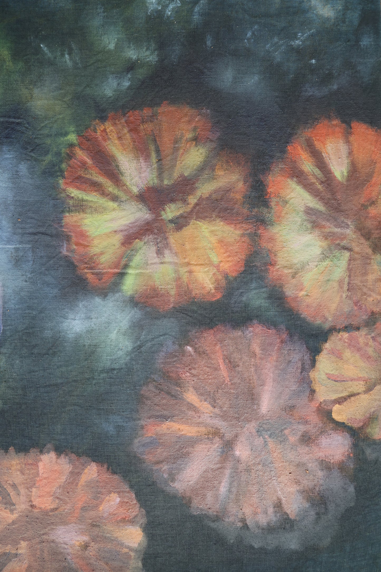 Lily pads: Original Oil Painting