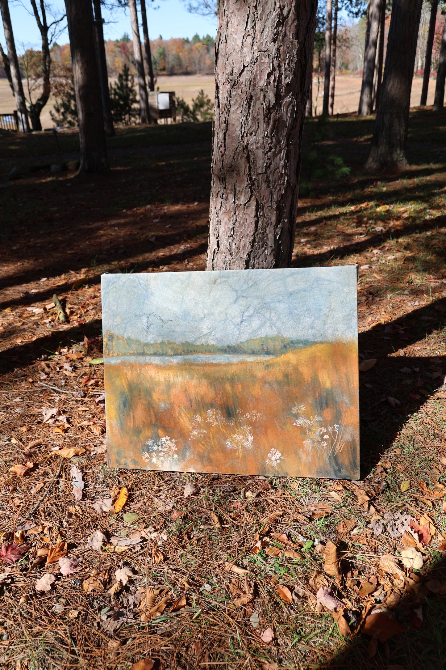 Golden Meadow: Original Oil Painting