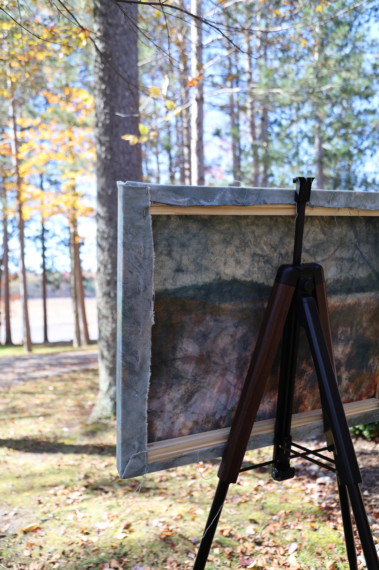 Golden Meadow: Original Oil Painting