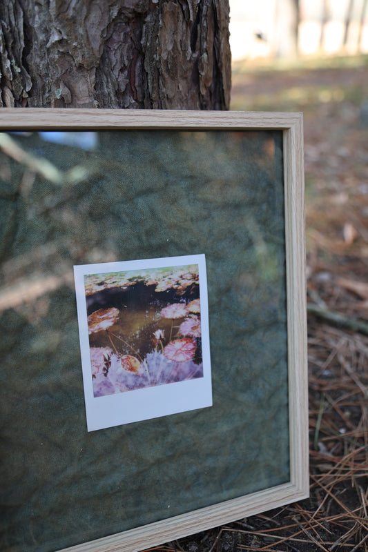 Polaroid in Raw Wood Frame: Lily Pads