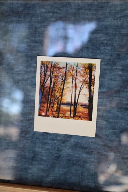 Polaroid in Raw Wood Frame: Autumn Trees