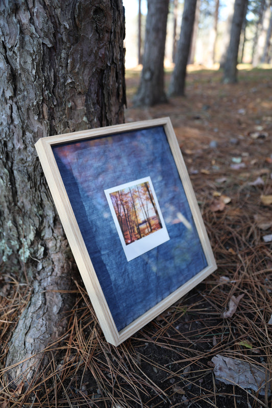 Polaroid in Raw Wood Frame: Autumn Trees