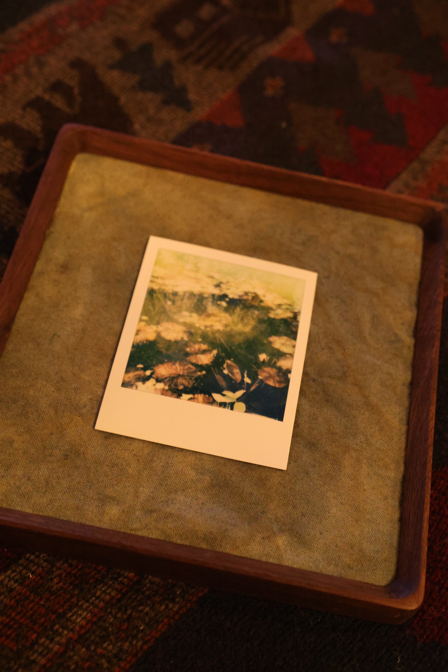 Polaroid 8x8" Walnut Wood Frame: The Pond