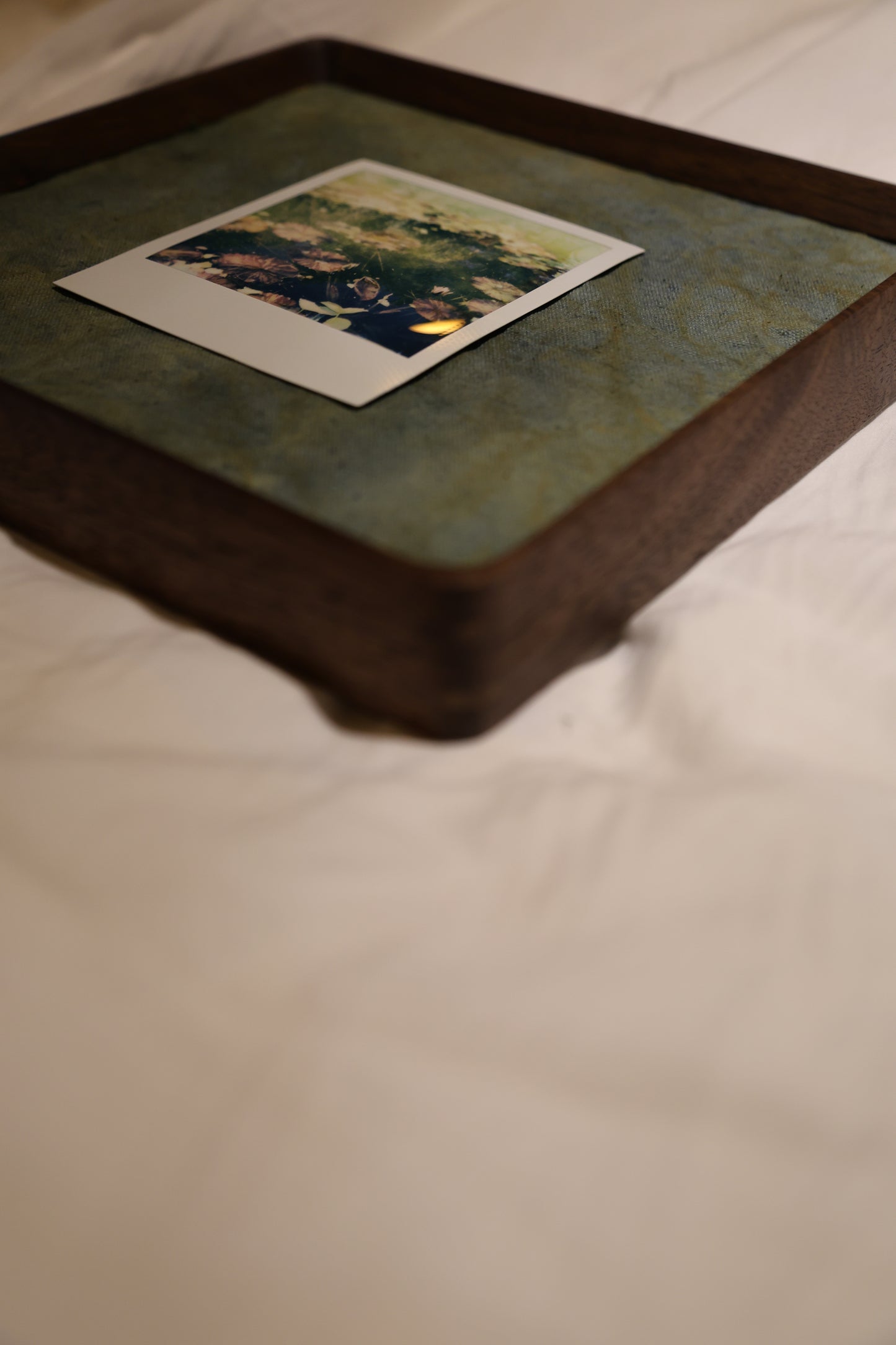 Polaroid 8x8" Walnut Wood Frame: The Pond