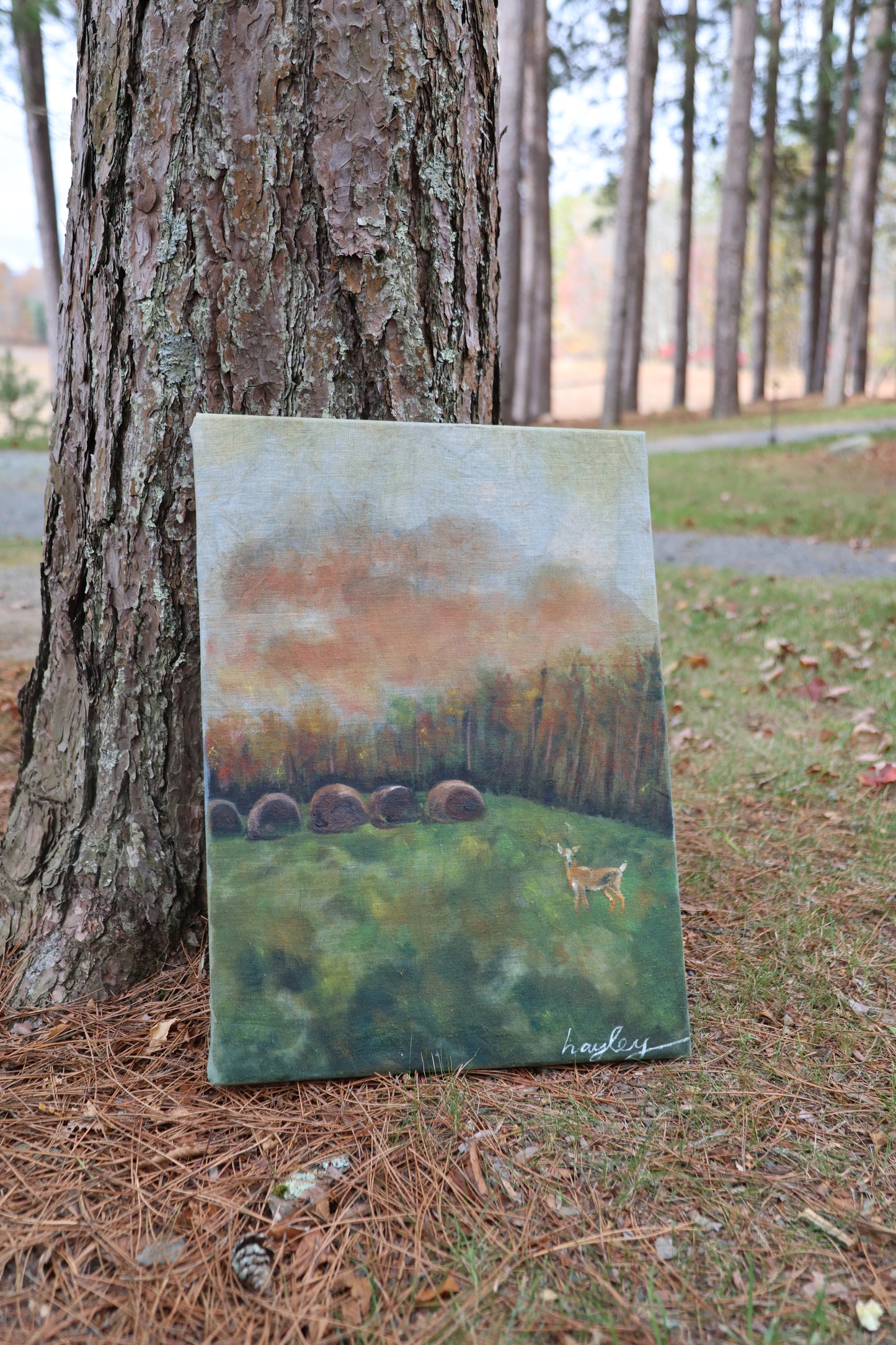 Grazing Deer: Original Oil Painting