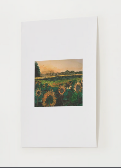 "Sunflower Meadow" Watercolor Print