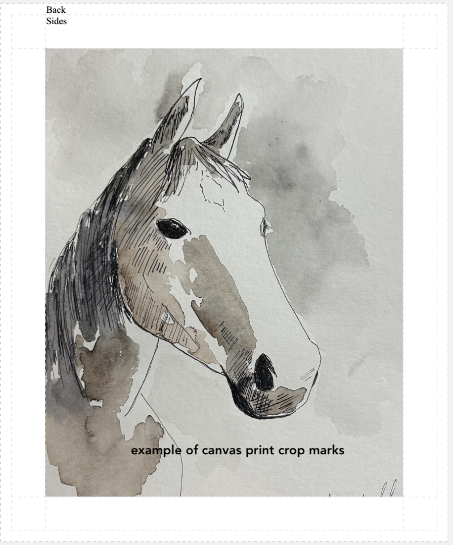 "The Horse" Watercolor Print