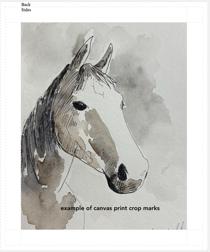 "The Horse" Watercolor Print