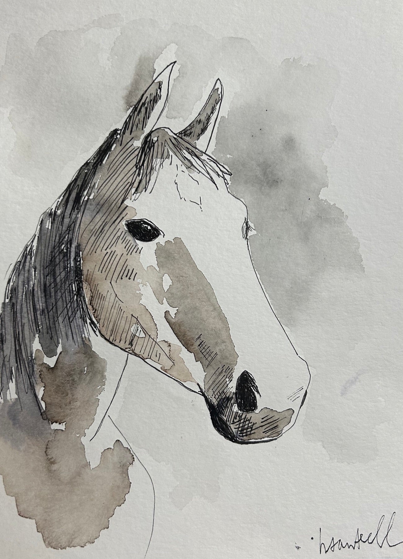 "The Horse" Watercolor Print